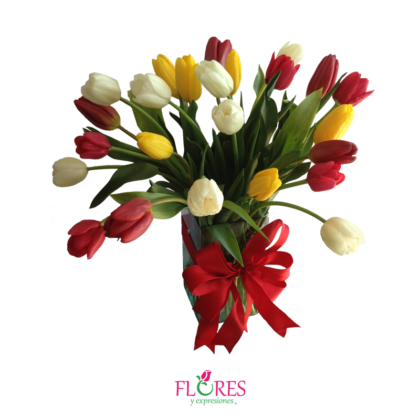 Tulipanes