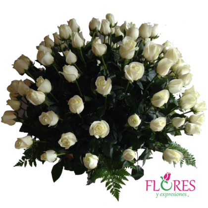 100 Rosas