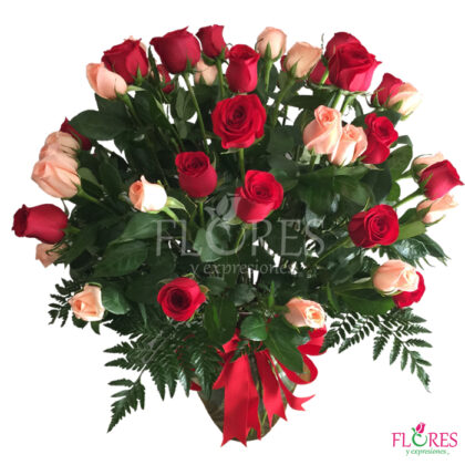 Rosas Colors