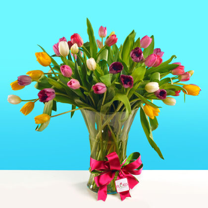 Tulipanes espectacular