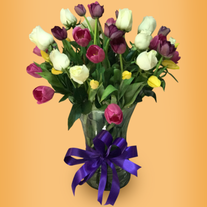 30 Tulipanes con 12 rosas blancas