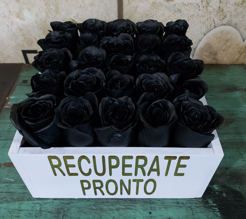 Rosas Negras – Flores y Expresiones