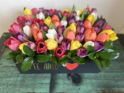 Caja Grande Tulipanes
