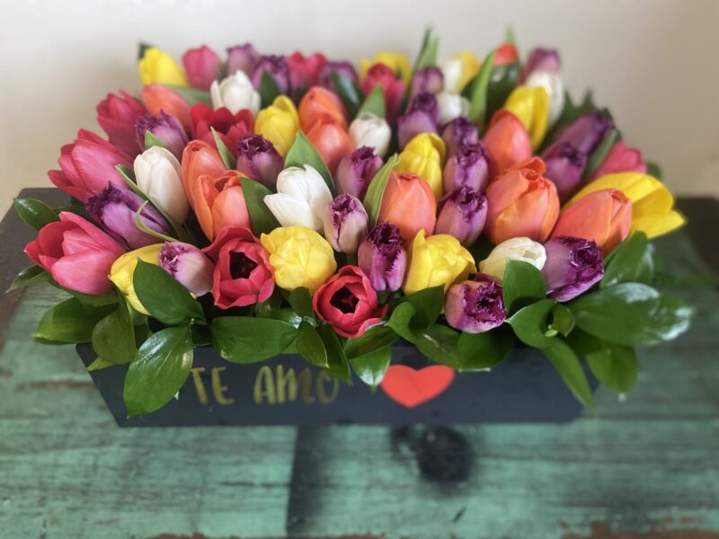Caja Grande Tulipanes