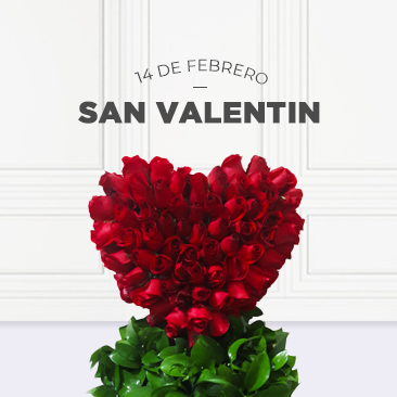 14 de Febrero