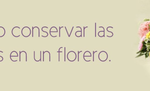 flores